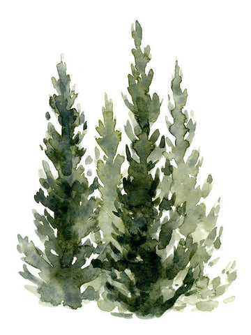 Simple Evergreens II White Modern Wood Framed Art Print with Double Matting by Caroline, Emma