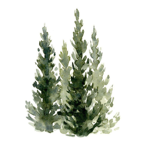 Simple Evergreens II Black Modern Wood Framed Art Print with Double Matting by Caroline, Emma