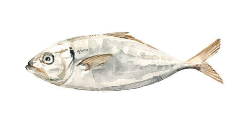 Silver Fish I White Modern Wood Framed Art Print with Double Matting by Caroline, Emma