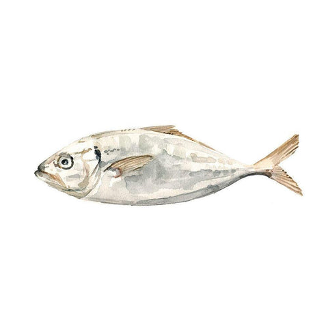 Silver Fish I White Modern Wood Framed Art Print by Caroline, Emma
