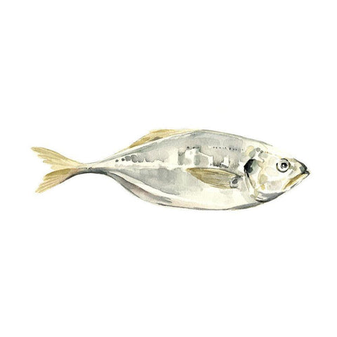 Silver Fish III Black Modern Wood Framed Art Print by Caroline, Emma