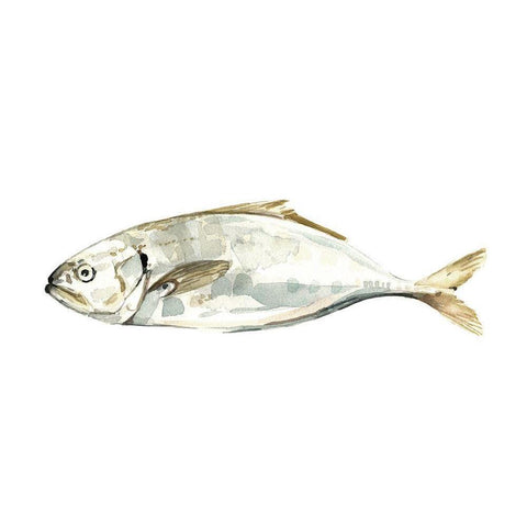 Silver Fish IV Black Modern Wood Framed Art Print by Caroline, Emma