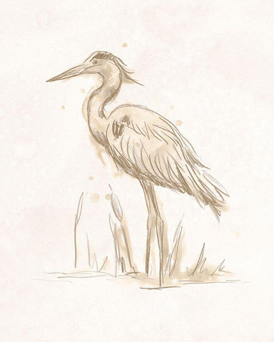 Sepia Heron I White Modern Wood Framed Art Print with Double Matting by Vess, June Erica