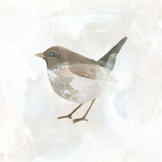 Image Only