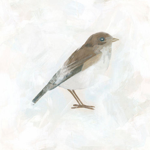 Feathered Fresco II White Modern Wood Framed Art Print with Double Matting by Vess, June Erica