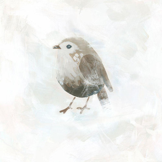 Image Only