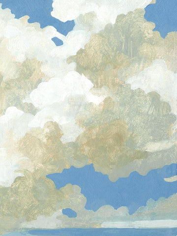 Cumulus Drift III Black Ornate Wood Framed Art Print with Double Matting by Caroline, Emma