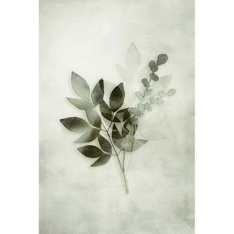 Tropical Night in Green I Black Modern Wood Framed Art Print with Double Matting by Haase, Andrea