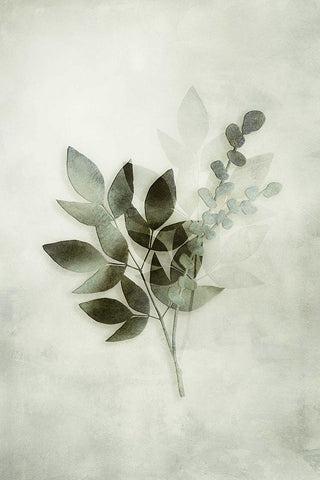 Tropical Night in Green I White Modern Wood Framed Art Print with Double Matting by Haase, Andrea