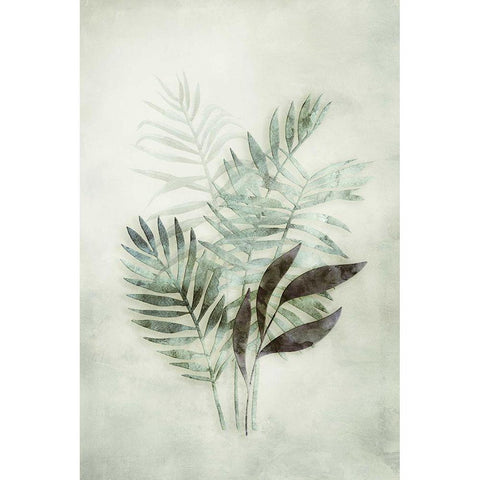 Tropical Night in Green III Black Modern Wood Framed Art Print with Double Matting by Haase, Andrea