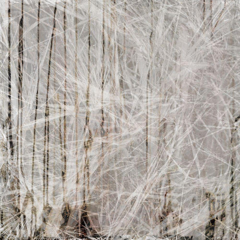 Neutral Drift II Black Modern Wood Framed Art Print by Aryai, Sia