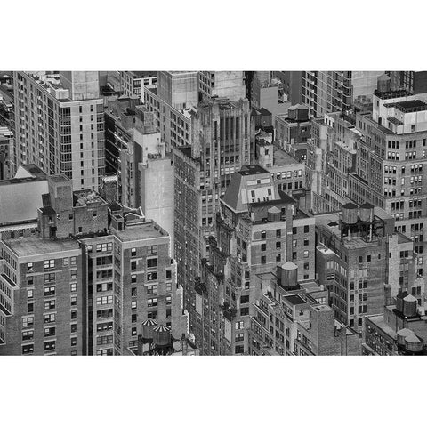 Velvet Views I Black Modern Wood Framed Art Print by Stelfox, Norm