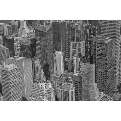 Velvet Views II White Modern Wood Framed Art Print by Stelfox, Norm