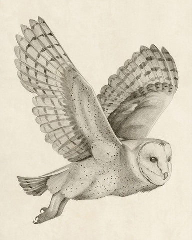 Night Owl II White Modern Wood Framed Art Print with Double Matting by Popp, Grace