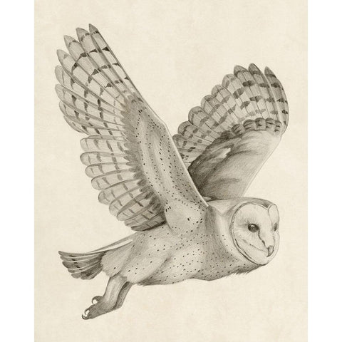 Night Owl II Black Modern Wood Framed Art Print by Popp, Grace