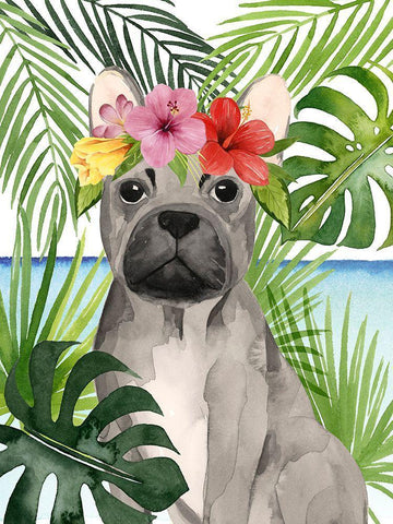 Coastal Canines I White Modern Wood Framed Art Print with Double Matting by Popp, Grace