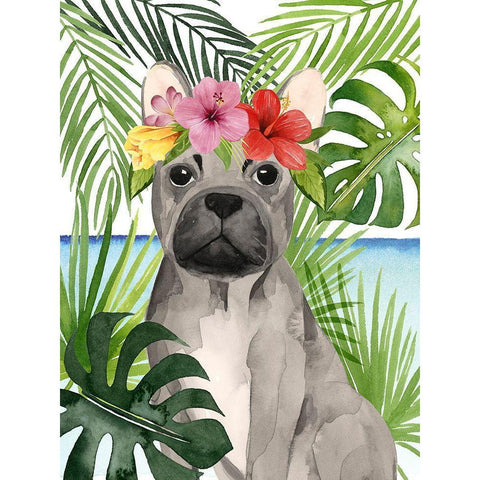 Coastal Canines I Black Modern Wood Framed Art Print by Popp, Grace