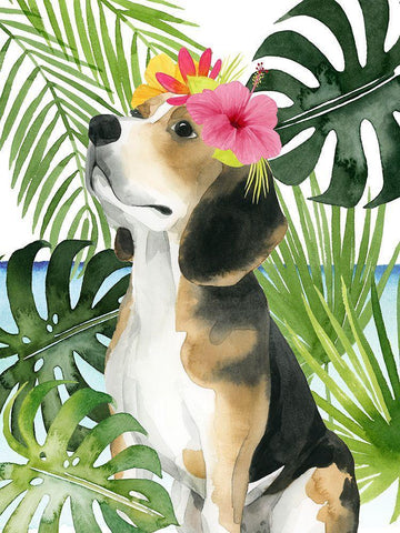 Coastal Canines II White Modern Wood Framed Art Print with Double Matting by Popp, Grace