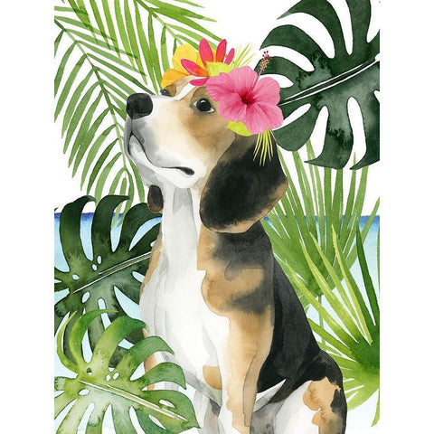 Coastal Canines II Black Modern Wood Framed Art Print by Popp, Grace