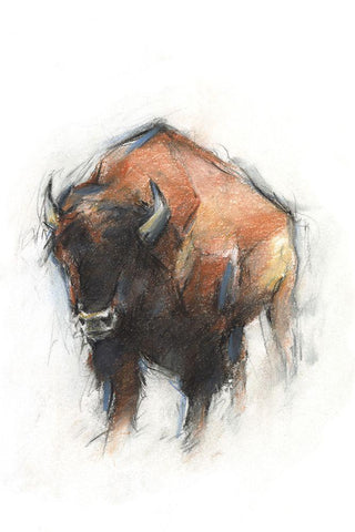 Sienna Animal Study I White Modern Wood Framed Art Print with Double Matting by Harper, Ethan