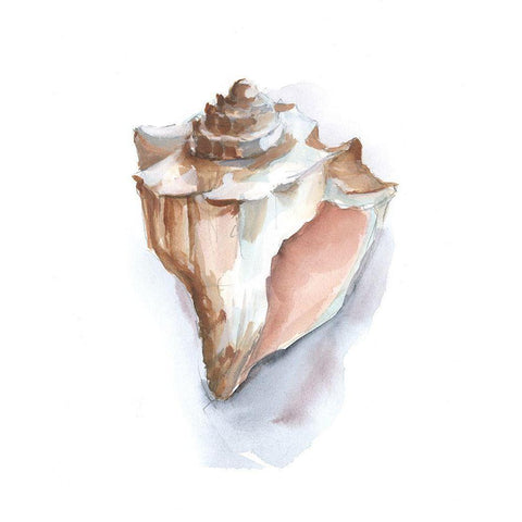 Pastel Shell Collection I Black Modern Wood Framed Art Print by Harper, Ethan