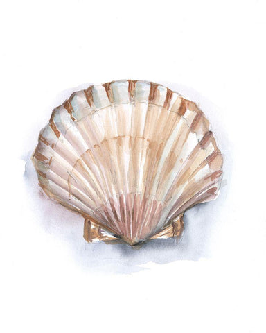 Pastel Shell Collection III Black Ornate Wood Framed Art Print with Double Matting by Harper, Ethan