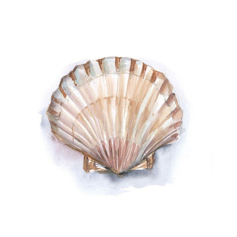 Pastel Shell Collection III Black Modern Wood Framed Art Print by Harper, Ethan