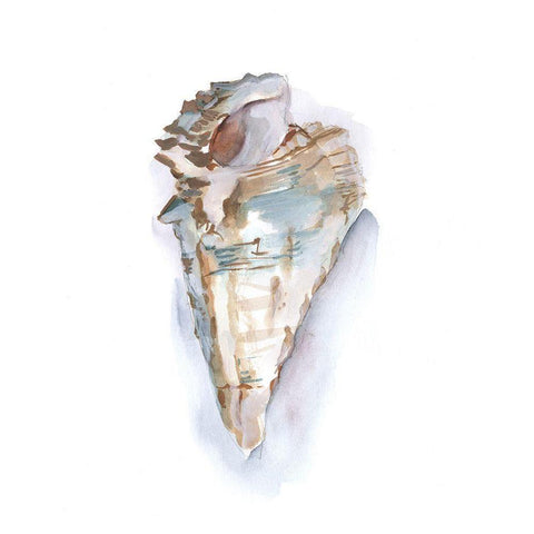 Pastel Shell Collection IV White Modern Wood Framed Art Print by Harper, Ethan