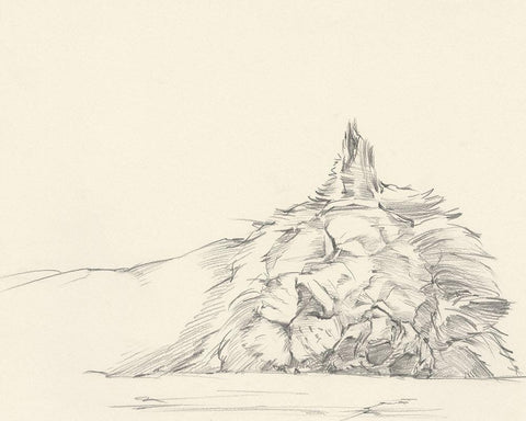 Cat Nap I Black Ornate Wood Framed Art Print with Double Matting by Harper, Ethan