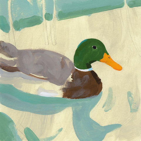 Bathing Mallard I Black Modern Wood Framed Art Print by Green, Jacob