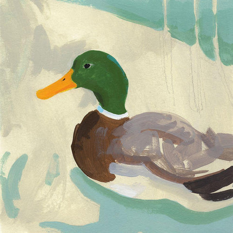 Bathing Mallard II White Modern Wood Framed Art Print with Double Matting by Green, Jacob