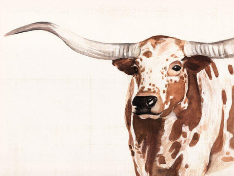Spotted Steer II White Modern Wood Framed Art Print with Double Matting by Warren, Annie