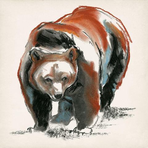 Brown Bear Gestures II Black Modern Wood Framed Art Print with Double Matting by Parker, Jennifer Paxton