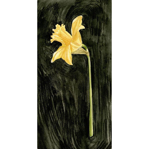 Dark Daffodils I Black Modern Wood Framed Art Print with Double Matting by Caroline, Emma
