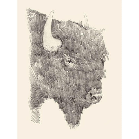 Buffalo Sketch I Gold Ornate Wood Framed Art Print with Double Matting by Green, Jacob