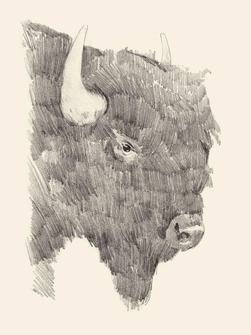 Buffalo Sketch I Black Ornate Wood Framed Art Print with Double Matting by Green, Jacob