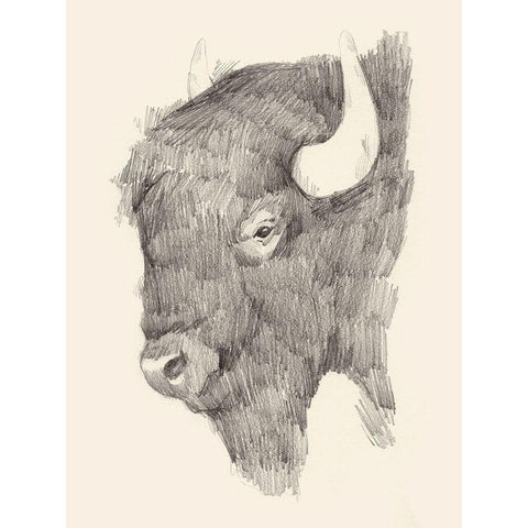 Buffalo Sketch II Black Modern Wood Framed Art Print with Double Matting by Green, Jacob