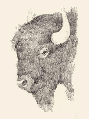 Buffalo Sketch II White Modern Wood Framed Art Print with Double Matting by Green, Jacob