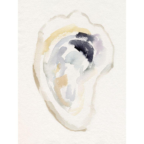 Oyster Shell Watercolor I White Modern Wood Framed Art Print by Barnes, Victoria