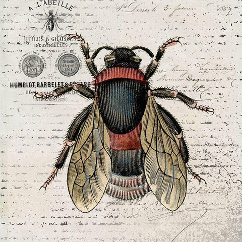 History Bee I Gold Ornate Wood Framed Art Print with Double Matting by Smith, Karen