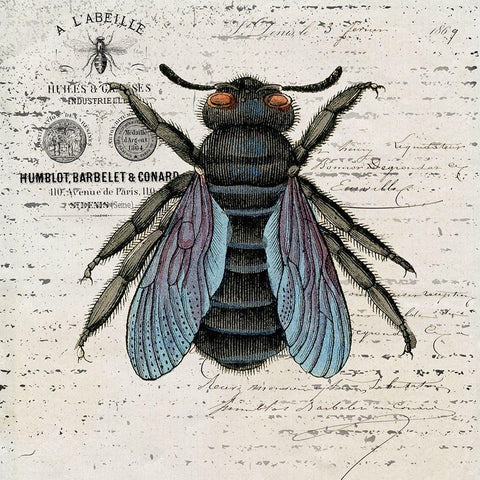History Bee II White Modern Wood Framed Art Print with Double Matting by Smith, Karen