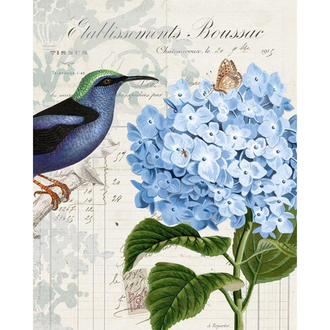 Vintage Aviary I Black Modern Wood Framed Art Print by Smith, Karen