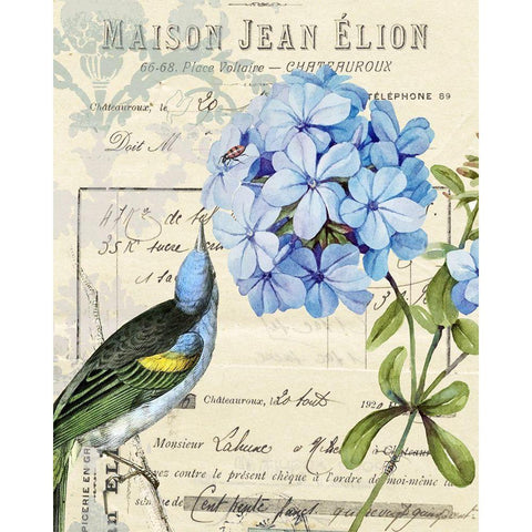 Vintage Aviary II Black Modern Wood Framed Art Print with Double Matting by Smith, Karen