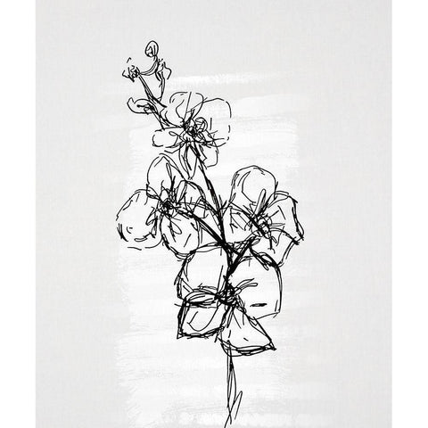 Flourish Sketches I Gold Ornate Wood Framed Art Print with Double Matting by Smith, Karen