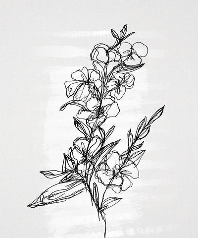 Flourish Sketches II White Modern Wood Framed Art Print with Double Matting by Smith, Karen