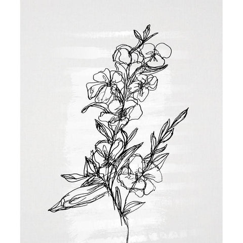 Flourish Sketches II Black Modern Wood Framed Art Print with Double Matting by Smith, Karen