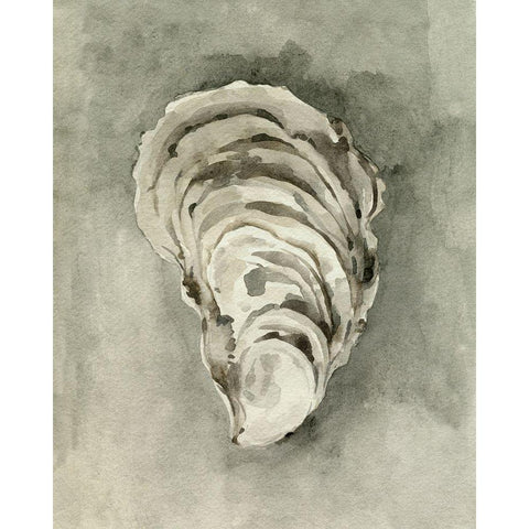 Neutral Oyster Shell II Black Modern Wood Framed Art Print with Double Matting by Caroline, Emma