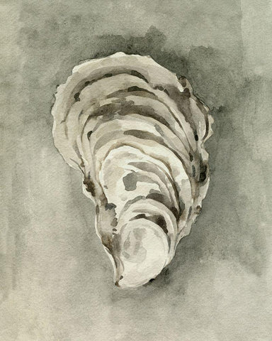 Neutral Oyster Shell II White Modern Wood Framed Art Print with Double Matting by Caroline, Emma