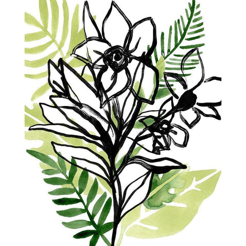 Tropical Sketchbook II White Modern Wood Framed Art Print by Vess, June Erica