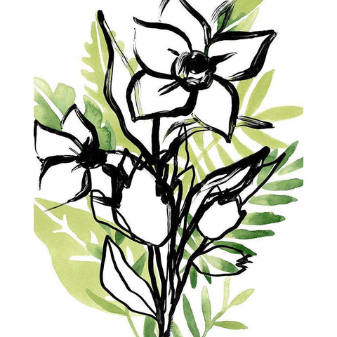 Tropical Sketchbook III Black Modern Wood Framed Art Print with Double Matting by Vess, June Erica